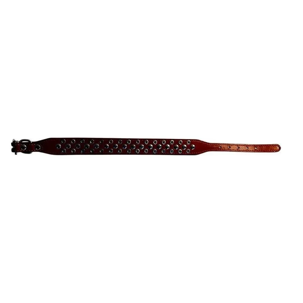 Triple Threat Light Brown Leather Silver Metal Spiked Studded Dog Collar